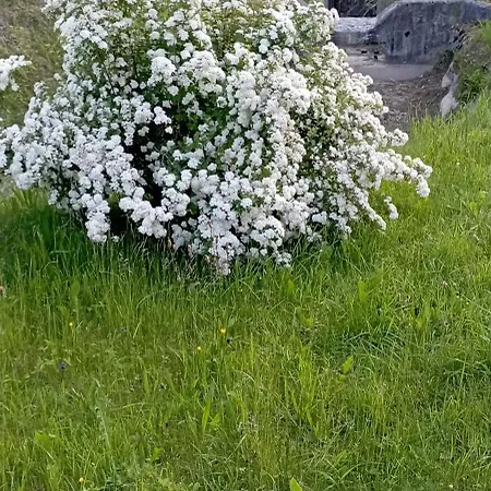 Desalpes 아파트