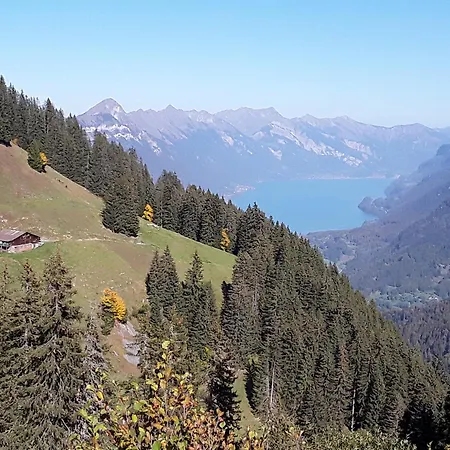 Desalpes Apartment Saxeten